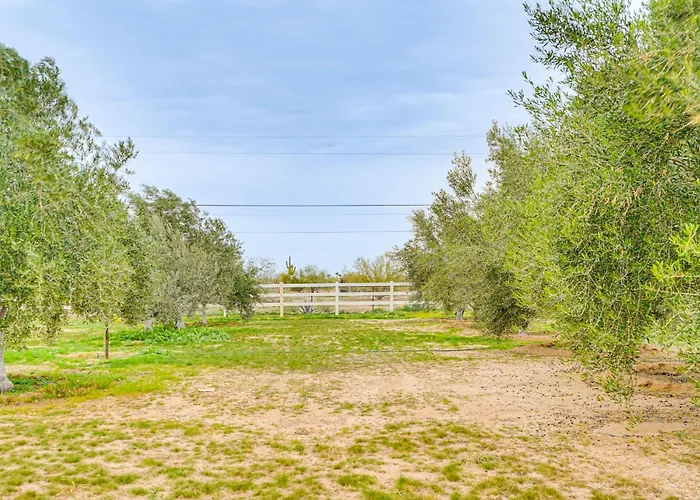 Holiday home Yard, Patio & Grill! Near Monastery